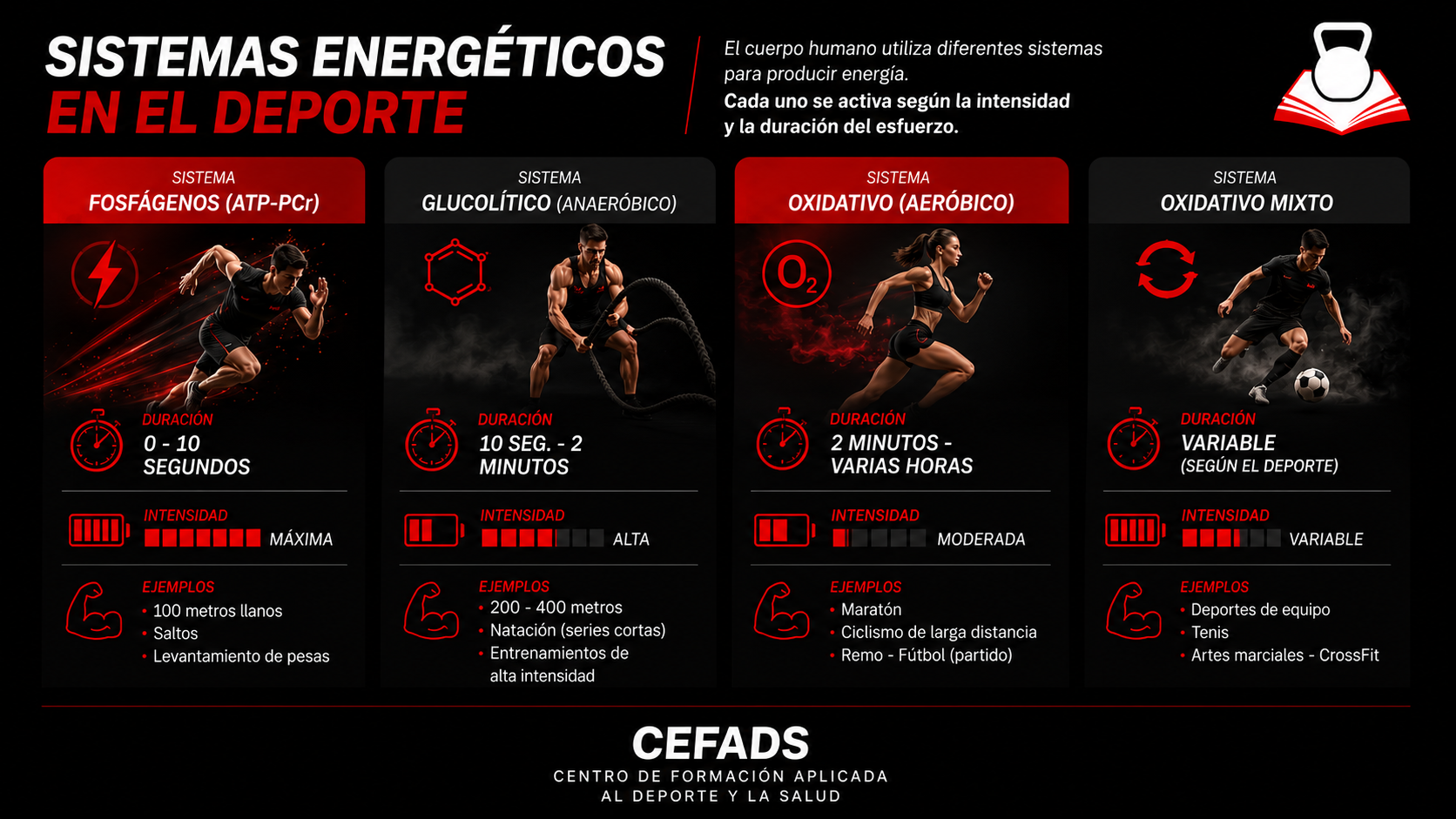 Sistemas energéticos durante el ejercicio
